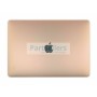 Pantalla MacBook Air 13 (A1932/A2179)