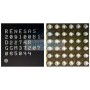 RENESAS RAA209100B1